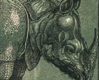 Albrecht Dürer, Il Rinoceronte, part.